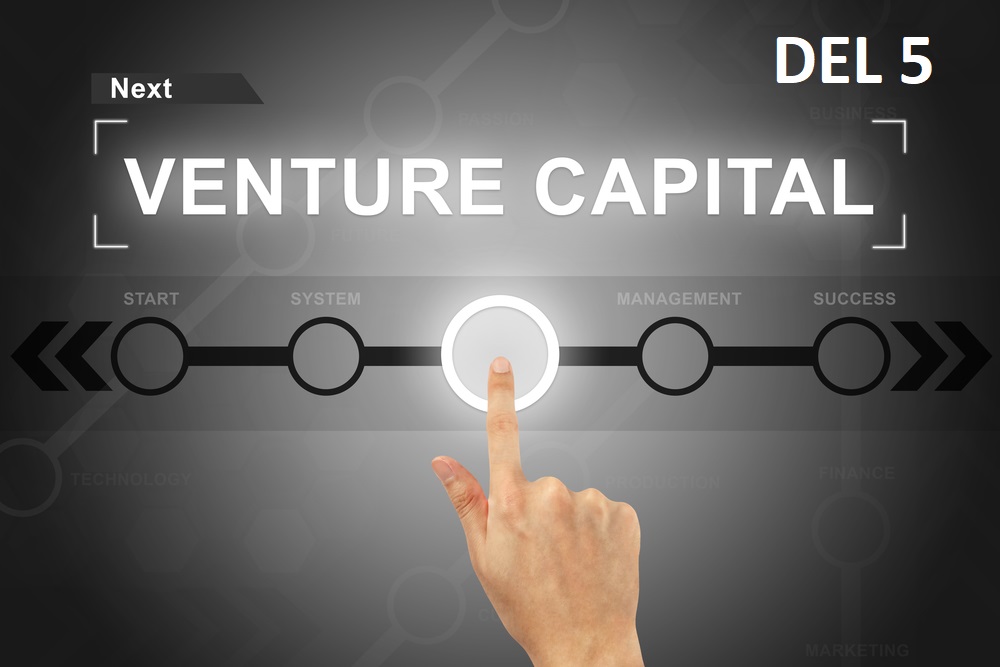 riskkapital venturecapital samarbeta med investerare